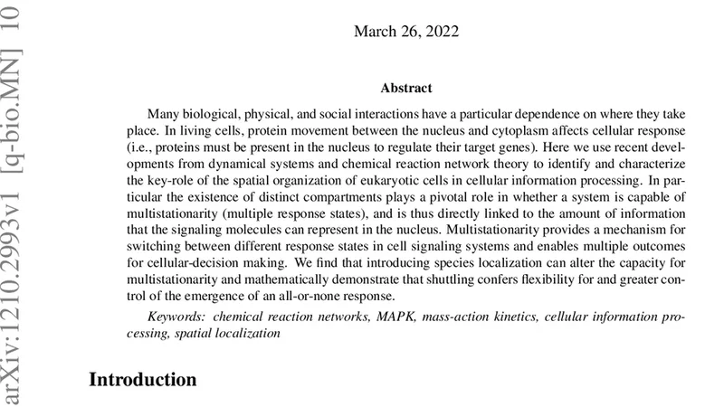 Cellular compartments cause multistability in biochemical reaction   networks and allow cells to process more information