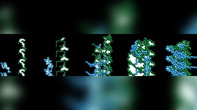Molecular Simulations of the Fluctuating Conformational Dynamics of   Intrinsically Disordered Proteins