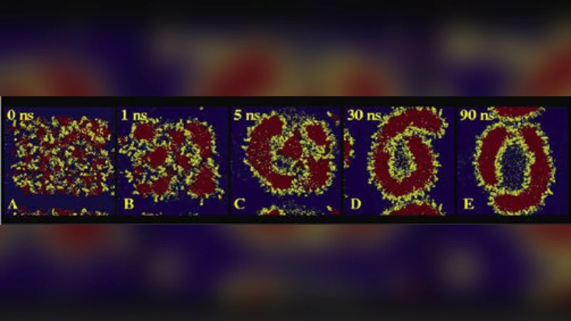 Performance Analysis Cluster and GPU Computing Environment on Molecular   Dynamic Simulation of BRV-1 and REM2 with GROMACS