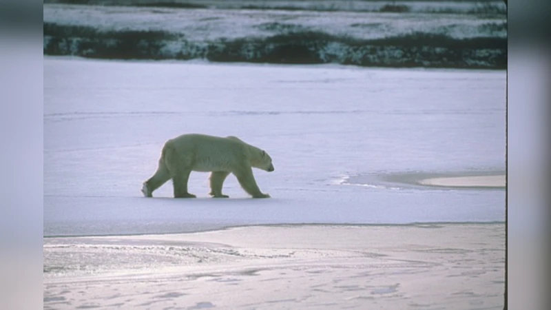 A Model-Based Approach to Rounding in Spectral Clustering