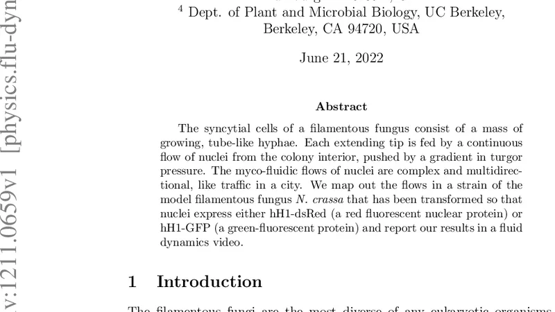 Nuclear flow in a filamentous fungus