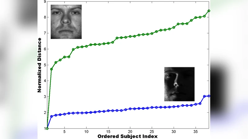 Efficient Point-to-Subspace Query in $ell^1$: Theory and Applications   in Computer Vision
