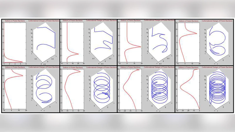 Field theory approach in the dynamics of biomatter