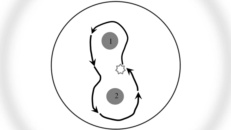 Simulating strange attraction of acellular slime mould Physarum   polycephaum to herbal tablets