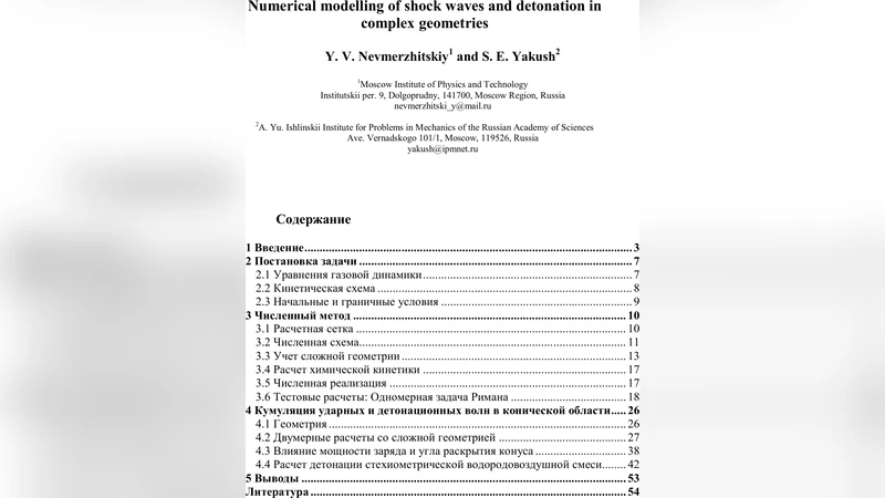 Numerical modelling of shock waves and detonation in complex geometries