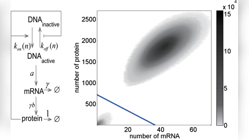 Transition Path, Quasi-potential Energy Landscape and Stability of   Genetic Switches
