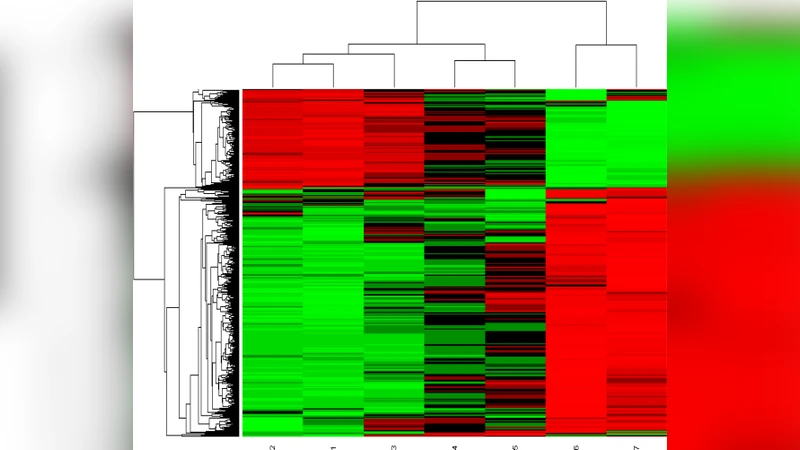Fuzzy soft rough K-Means clustering approach for gene expression data