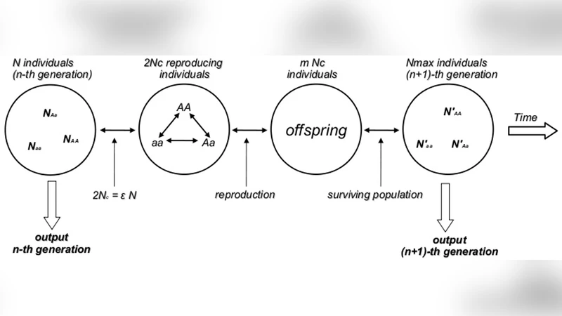 Neutral and Stable Equilibria of Genetic Systems and The Hardy-Weinberg   Principle: Limitations of the Chi-Square Test and Advantages of   Auto-Correlation Functions of Allele Frequencies