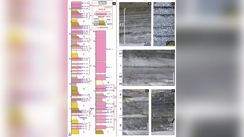 High-frequency cyclicity in the Mediterranean Messinian evaporites:   evidence for solar-lunar climate forcing