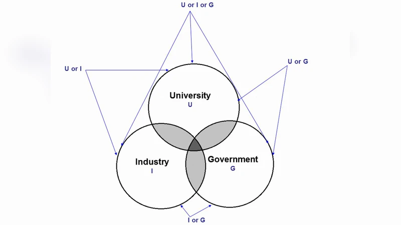The Triple Helix of University-Industry-Government Relations at the   Country Level, and Its Dynamic Evolution under the Pressures of Globalization