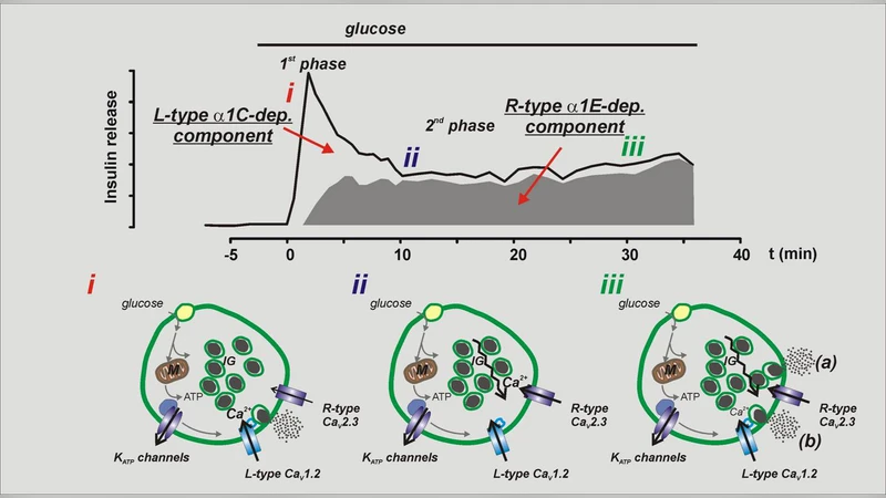 Towards a Nano Geometry? Geometry and Dynamics on Nano Scale
