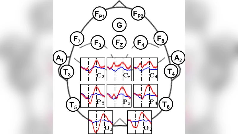 Pushing the Communication Speed Limit of a Noninvasive BCI Speller