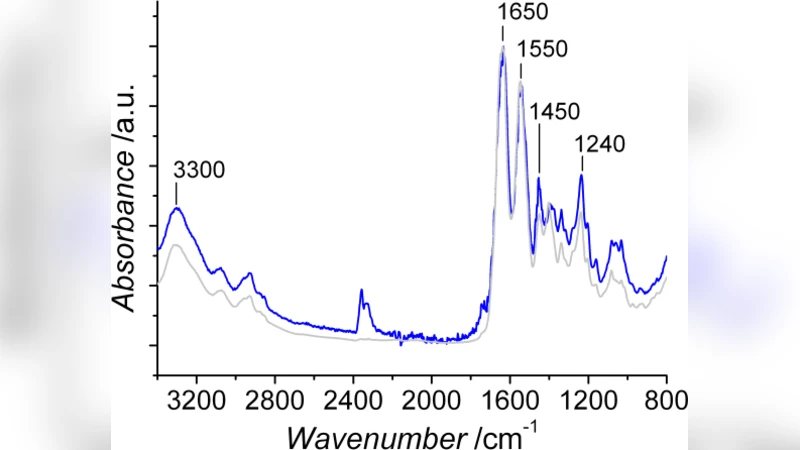 Structure-property-function relationships in triple helical collagen   hydrogels