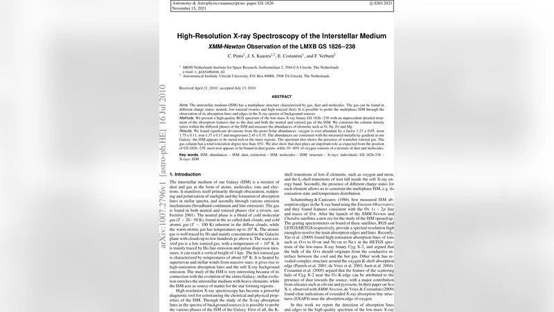High-Resolution X-ray Spectroscopy of the Interstellar Medium