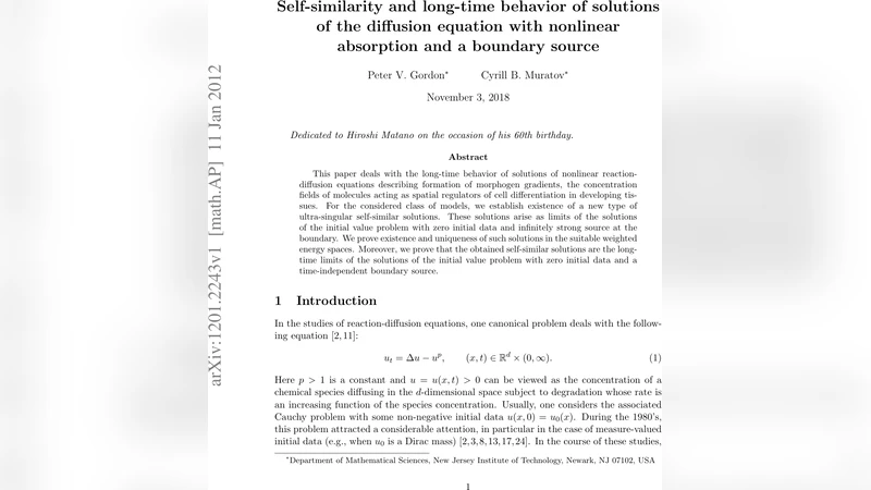 Self-similarity and long-time behavior of solutions of the diffusion   equation with nonlinear absorption and a boundary source