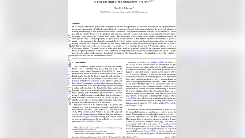 A hexamer origin of the echinoderms five rays