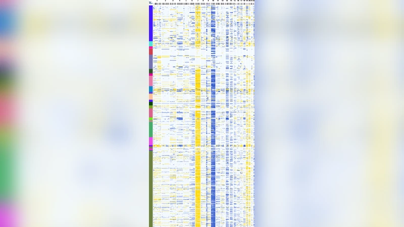 arrayMap: A Reference Resource for Genomic Copy Number Imbalances in   Human Malignancies