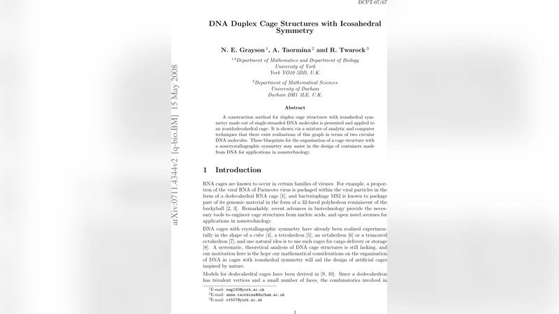 DNA duplex cage structures with icosahedral symmetry