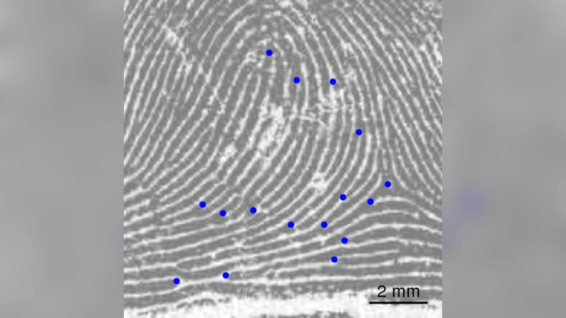Modeling the growth of fingerprints improves matching for adolescents