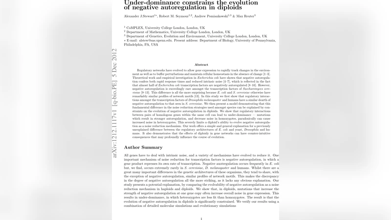 Under-dominance constrains the evolution of negative autoregulation in   diploids