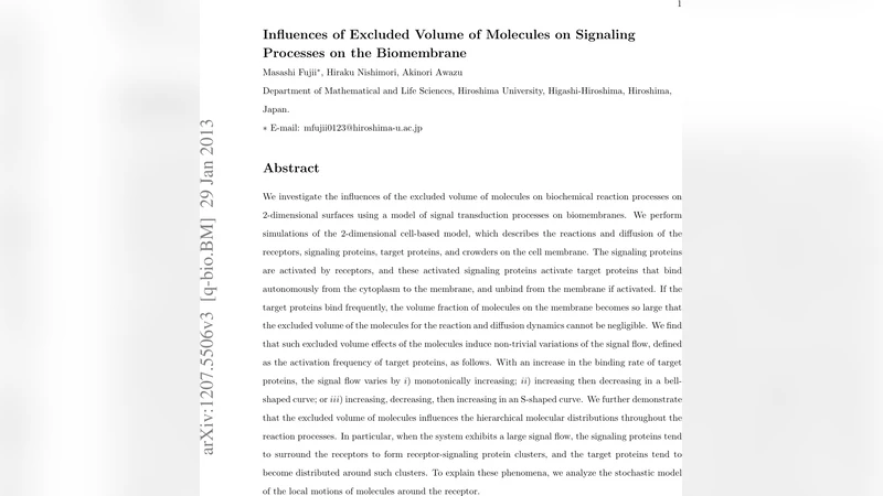 Influences of Excluded Volume of Molecules on Signaling Processes on   Biomembrane