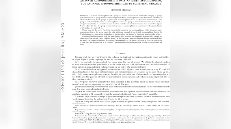 An inner automorphism is only an inner automorphism, but an inner   endomorphism can be something strange