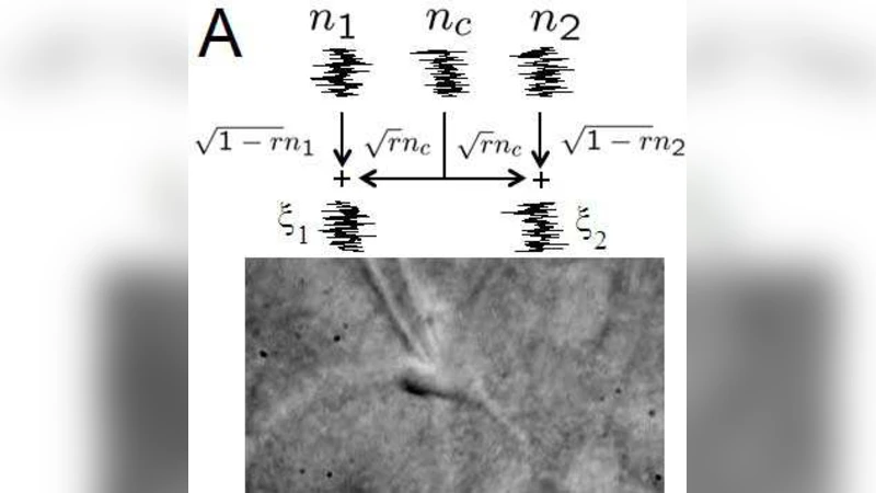 Correlations and Synchrony in Threshold Neuron Models