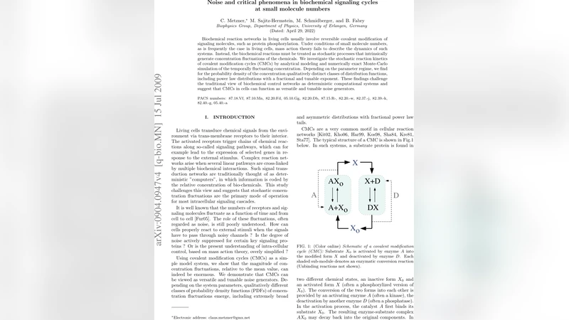 Noise and critical phenomena in biochemical signaling cycles at small   molecule numbers