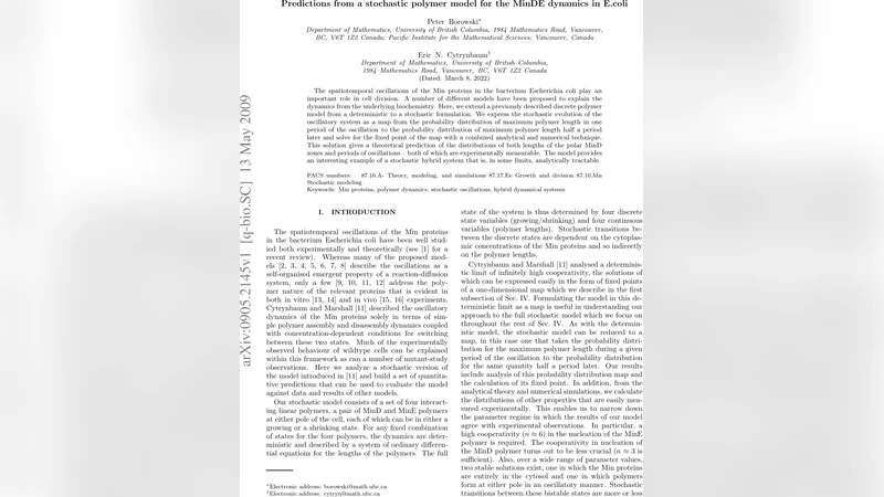 Predictions from a stochastic polymer model for the MinDE dynamics in   E.coli