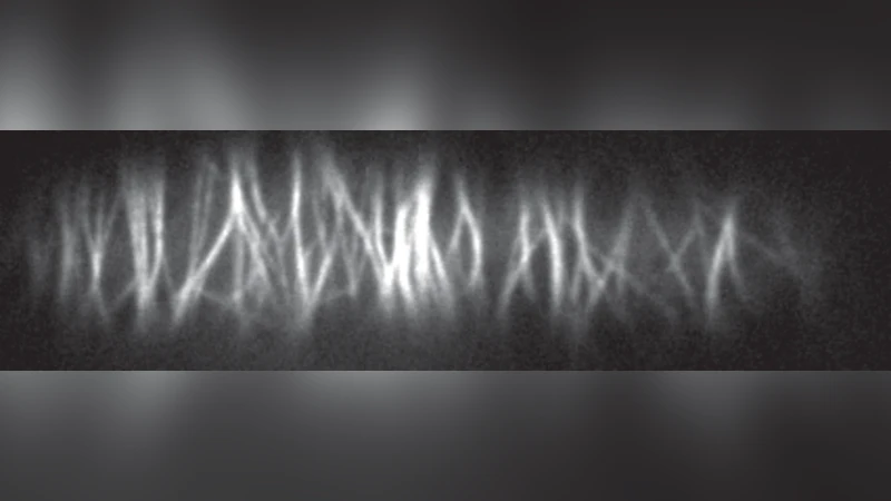 A model for the orientational ordering of the plant microtubule cortical   array