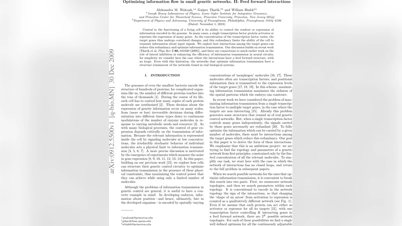 Optimizing information flow in small genetic networks. II: Feed forward   interactions