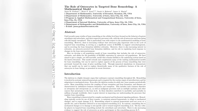 The Role of Osteocytes in Targeted Bone Remodeling: A Mathematical Model