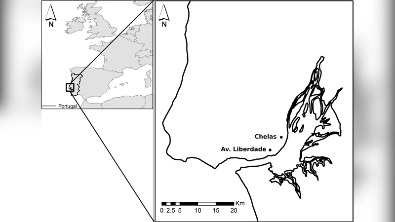 Searching for optimal variables in real multivariate stochastic data