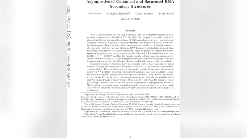 Asymptotics of Canonical and Saturated RNA Secondary Structures
