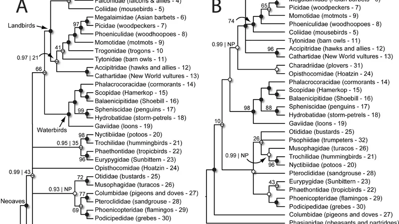 A phylogeny of birds based on over 1,500 loci collected by target   enrichment and high-throughput sequencing