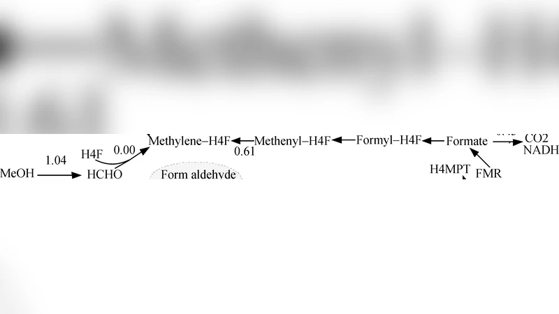 Towards Kinetic Modeling of Global Metabolic Networks with Incomplete   Experimental Input on Kinetic Parameters