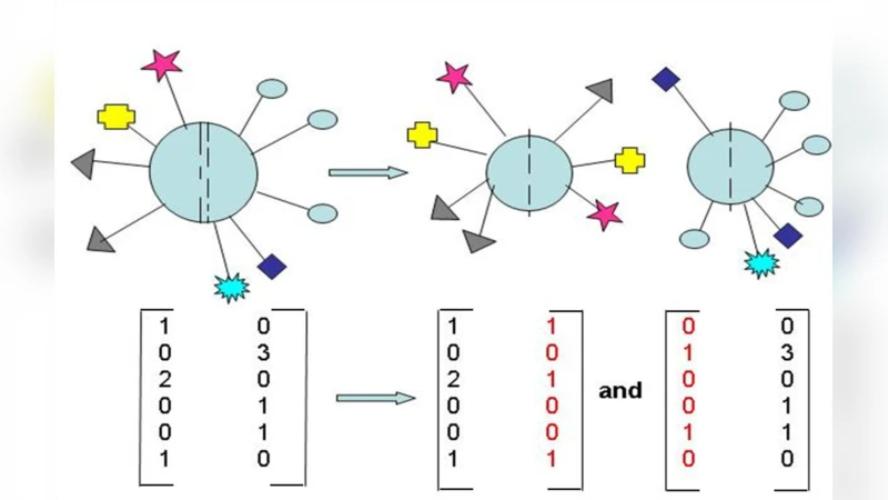 The Geometry of Morphogenesis and the Morphogenetic Field Concept