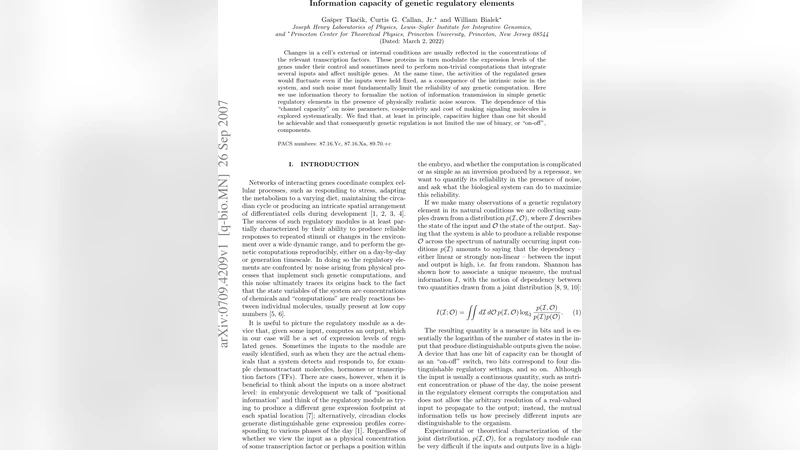 Information capacity of genetic regulatory elements