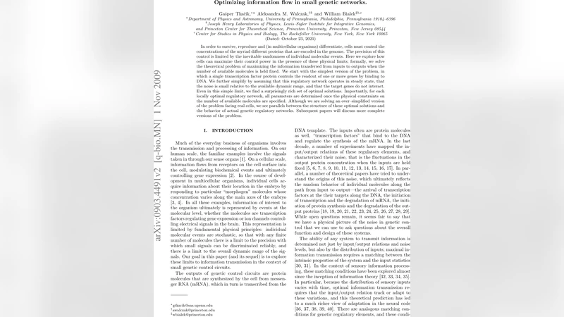 Optimizing information flow in small genetic networks. I