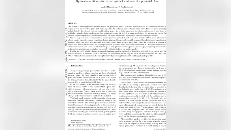 Optimal allocation patterns and optimal seed mass of a perennial plant