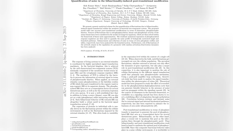 Quantification of noise in the bifunctionality-induced   post-translational modification