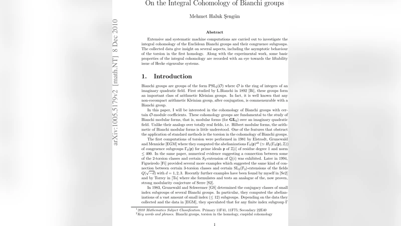 On the Integral Cohomology of Bianchi groups