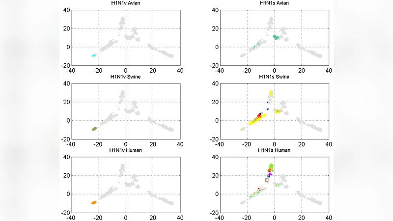 Mapping of the Influenza-A Hemagglutinin Serotypes Evolution by the   ISSCOR Method