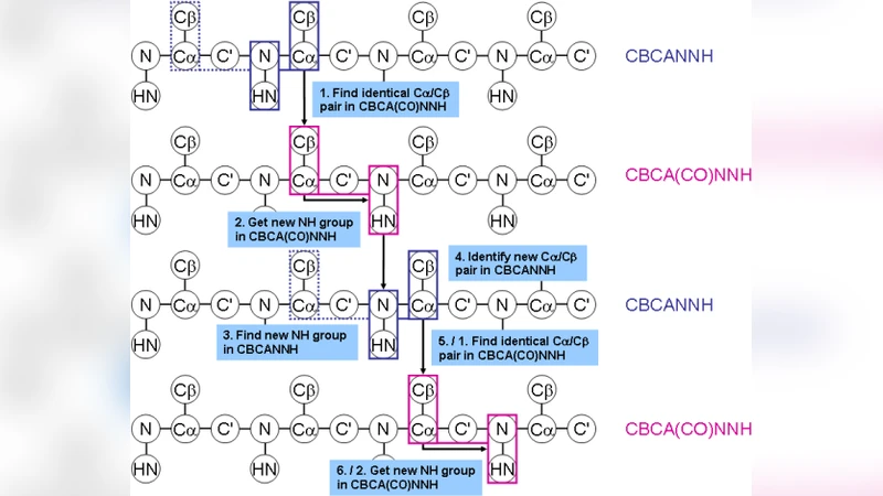 Computational Assignment of Chemical Shifts for Protein Residues
