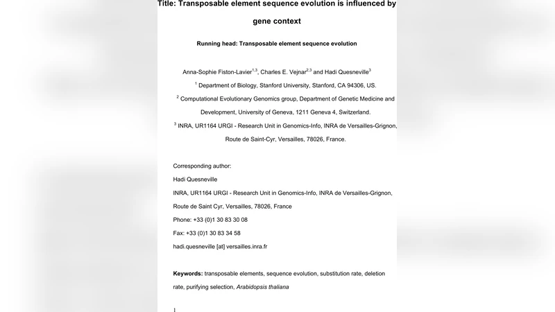 ParamILS: An Automatic Algorithm Configuration Framework