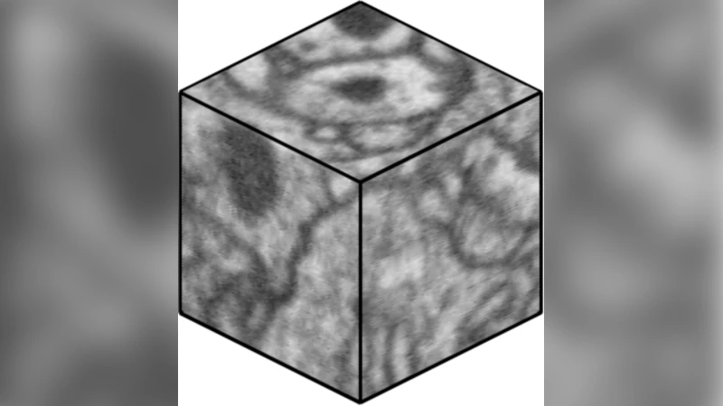Deep and Wide Multiscale Recursive Networks for Robust Image Labeling