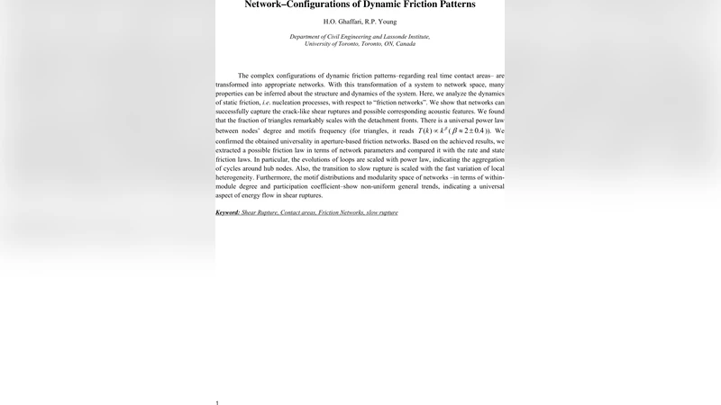 Network-Configurations of Dynamic Friction Patterns
