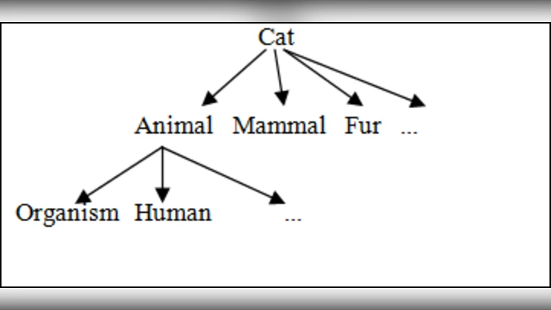 Nanoscale study of reactive transport in catalyst layer of proton   exchange membrane fuel cells with precious and non-precious catalysts using   lattice Boltzmann method