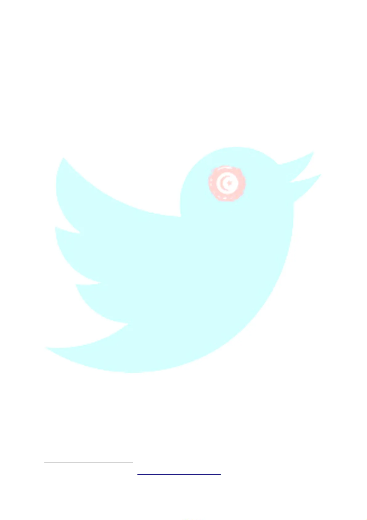 On the Potential of Twitter for Understanding the Tunisia of the   Post-Arab Spring