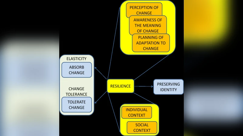 Quality Indicators for Collective Systems Resilience